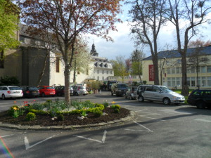 SAM_0445